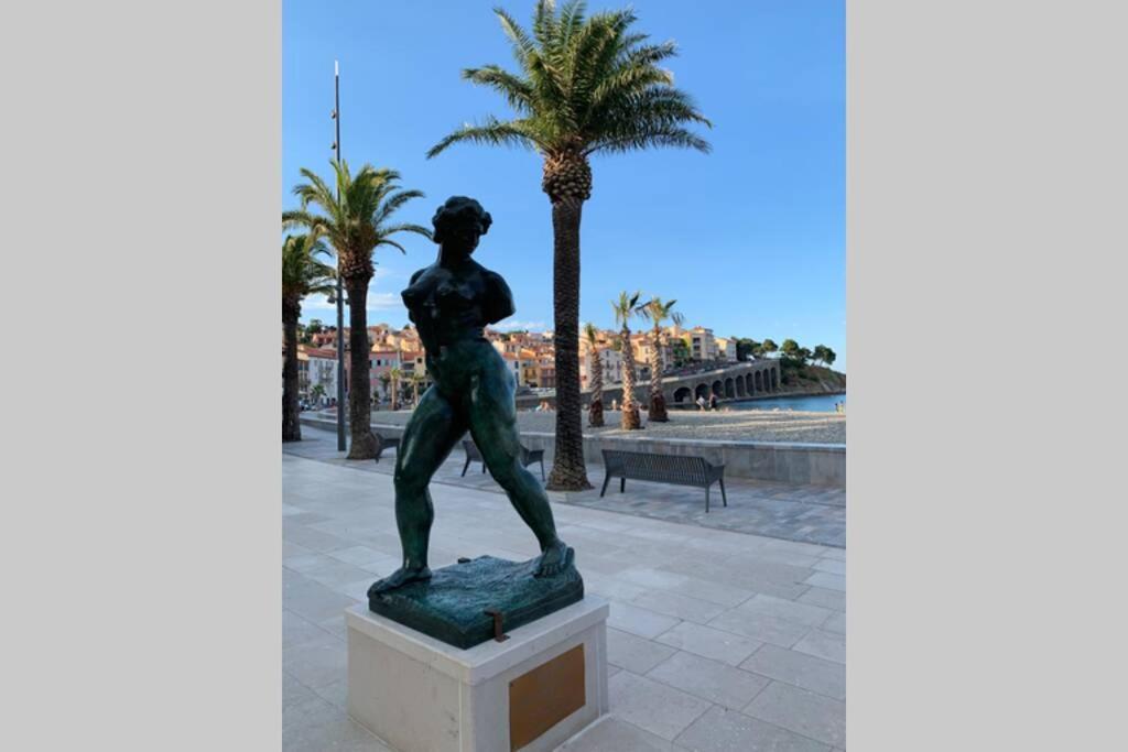 Attique à Banyuls - vue mer et montagne Extérieur photo