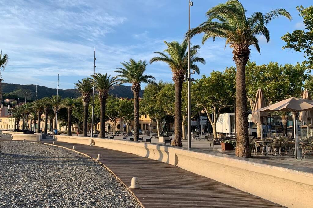 Attique à Banyuls - vue mer et montagne Extérieur photo